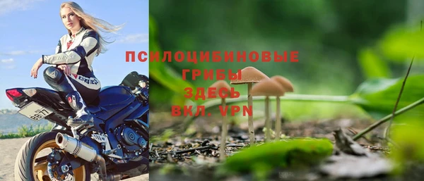 молекула духа Алексеевка