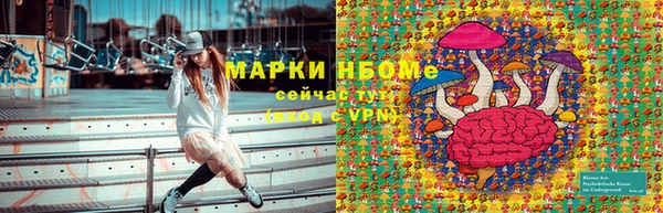 молекула духа Алексеевка